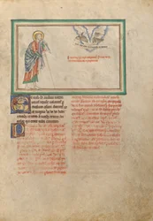 Der klägliche Adler